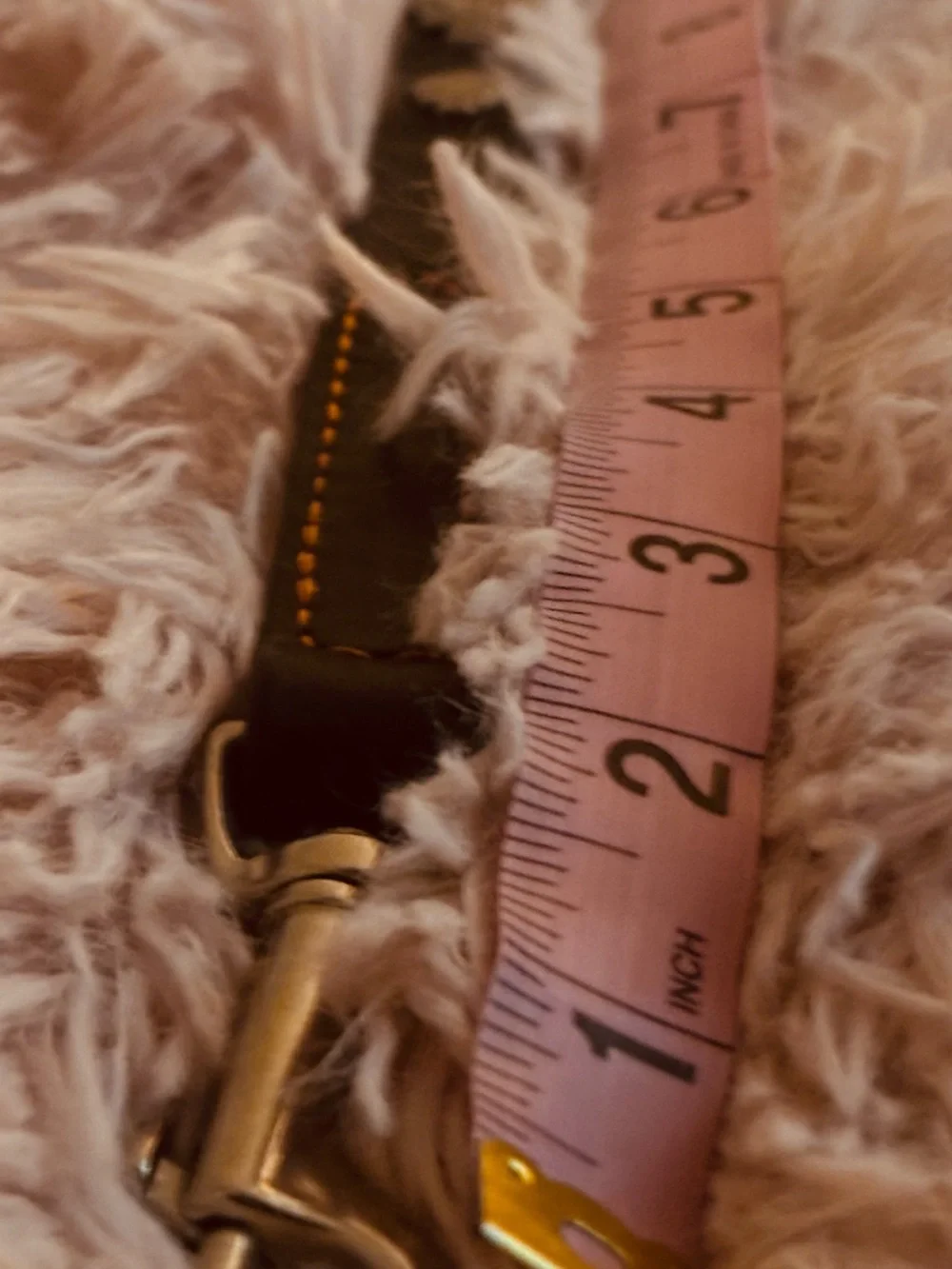 Harley Davidson leather dog leach